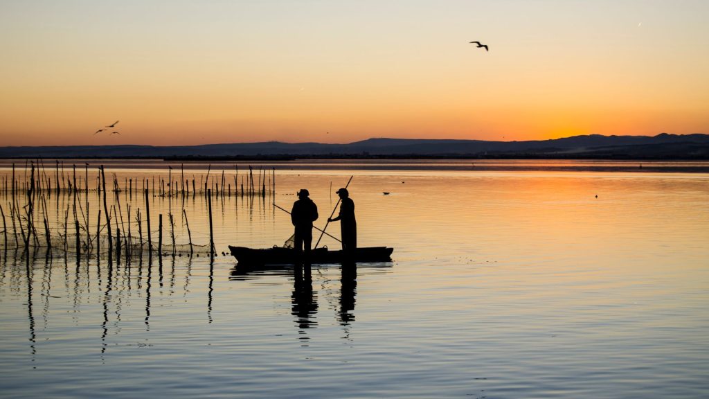 Barca nell'Albufera