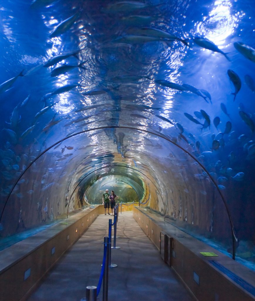 Entradas para el Oceanografic