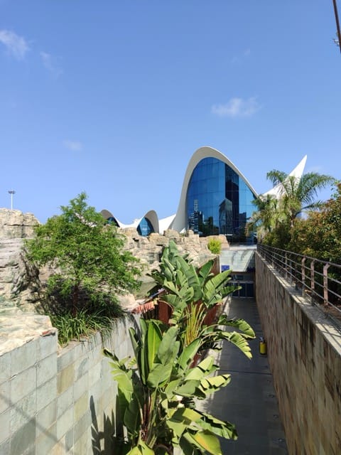 Entradas para el Oceanogràfic de Valencia